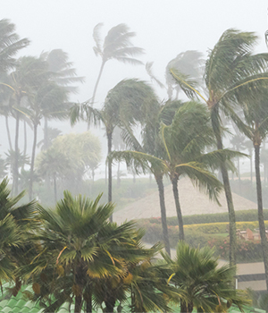 Hurricane Wind and Rain